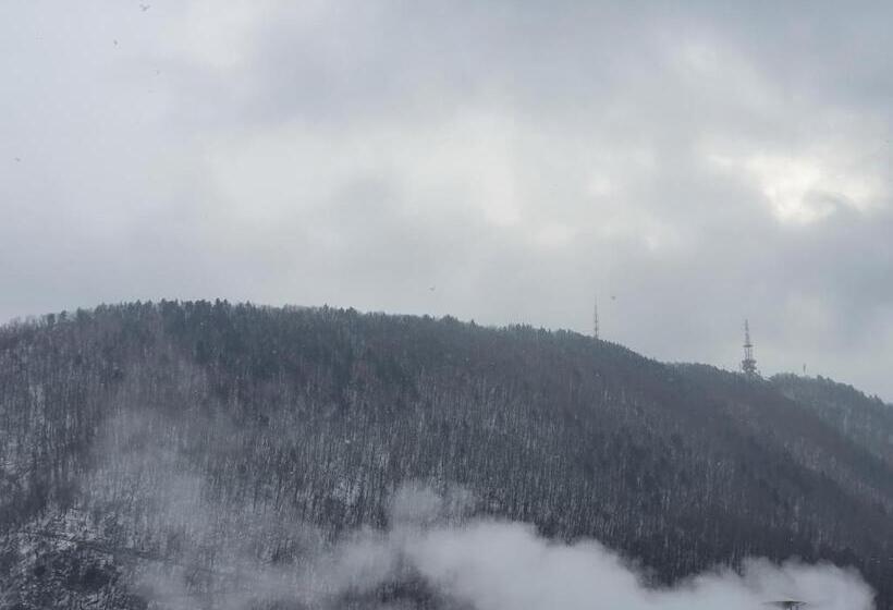 Apart Hotel Vlad Tepes