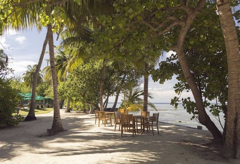 Otel Equator Village Resort