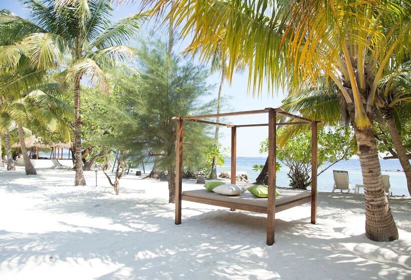 Otel Equator Village Resort