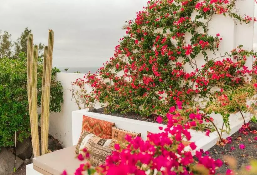 Bed & Breakfast Casa Sua