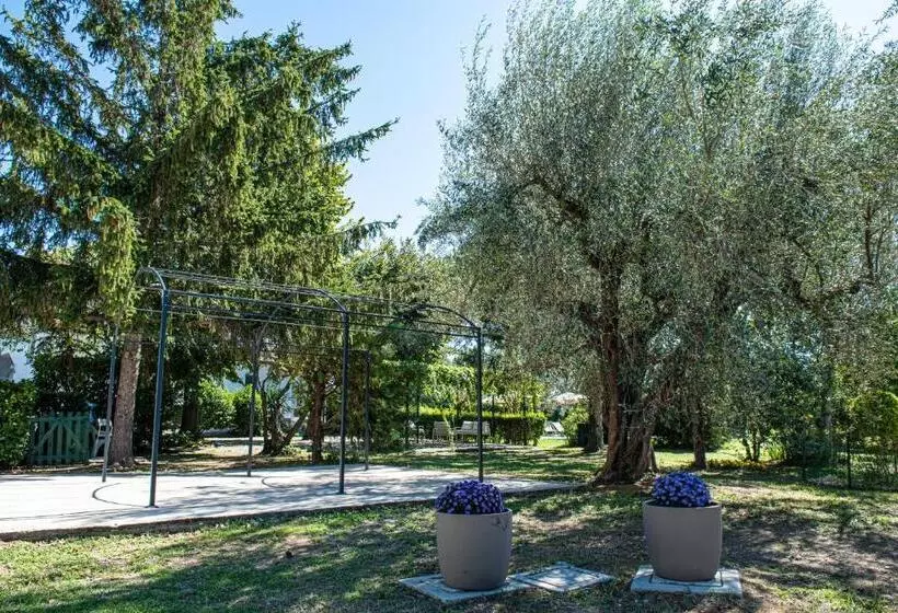 تختخواب و صبحانه Terre Etrusche Guest House Terme  3 Minuti Da Viterbo Centro