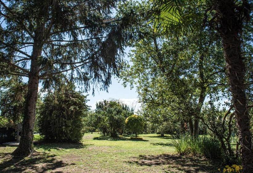 تختخواب و صبحانه Terre Etrusche Guest House Terme  3 Minuti Da Viterbo Centro