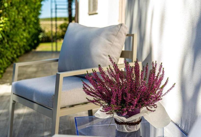 تختخواب و صبحانه Terre Etrusche Guest House Terme  3 Minuti Da Viterbo Centro