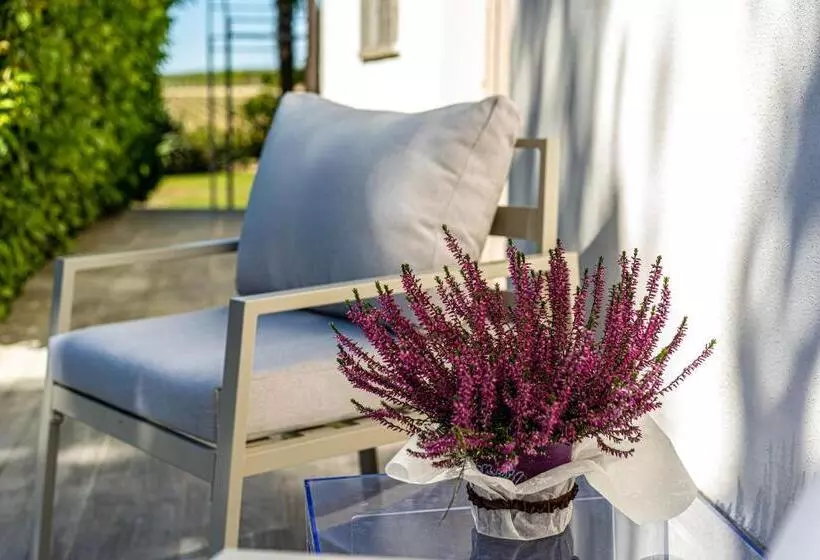 تختخواب و صبحانه Terre Etrusche Guest House Terme  3 Minuti Da Viterbo Centro