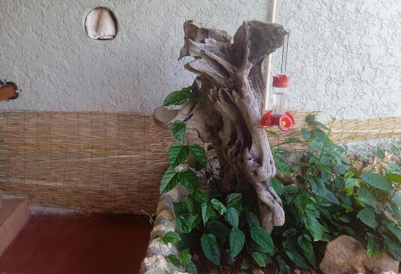 Arena Oceanview Hotel & La Terraza Restaurant