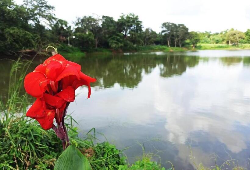 پانسیون Eththota Walawwa Bungalow   Private Rooms With Attached Bathrooms   Ac Or Non Ac