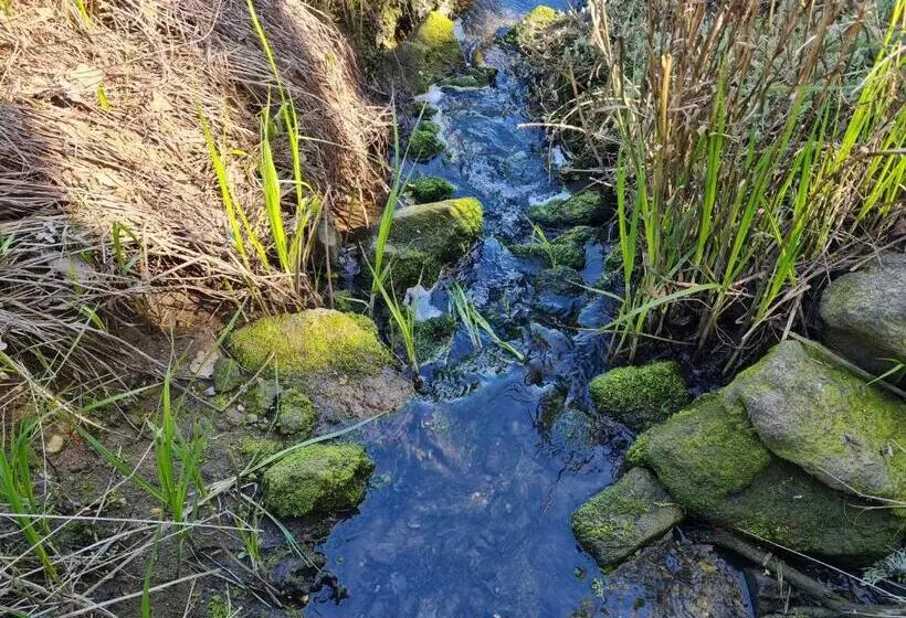 Majatalo Update Location