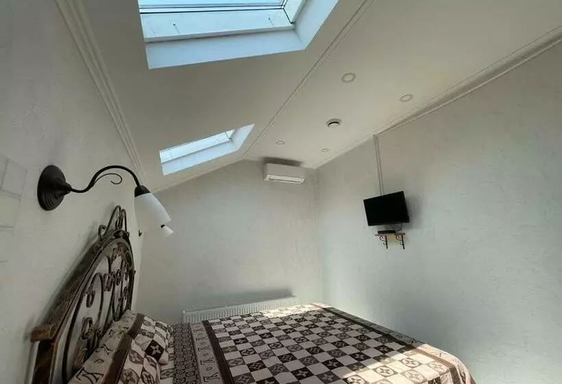 پانسیون Villa Aeroport розовый дом