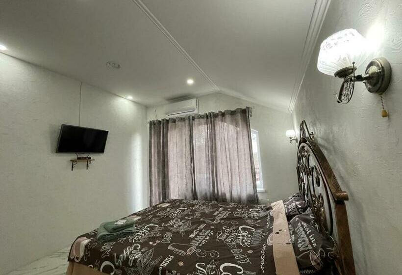 ペンション Villa Aeroport розовый дом