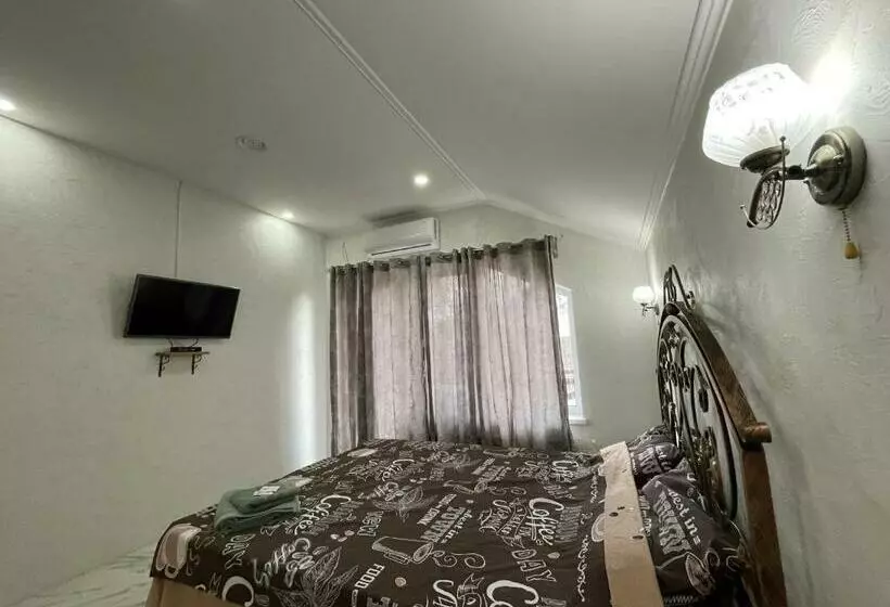 پانسیون Villa Aeroport розовый дом