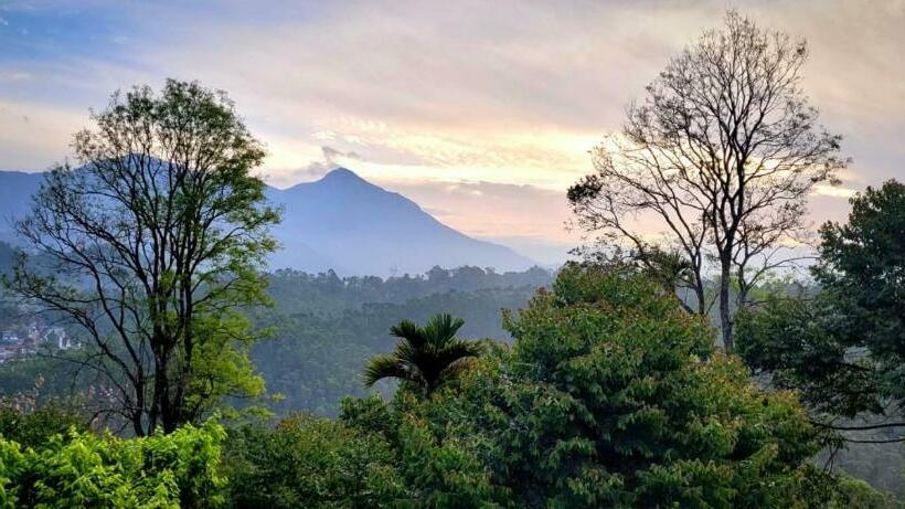 Retkeilymaja 3r Residency Munnar