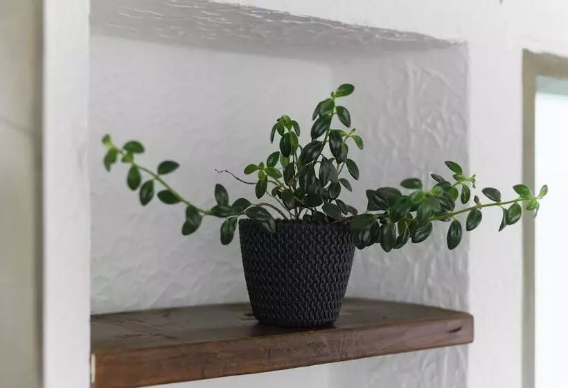 هتل Chalet La Sofia By Majuva