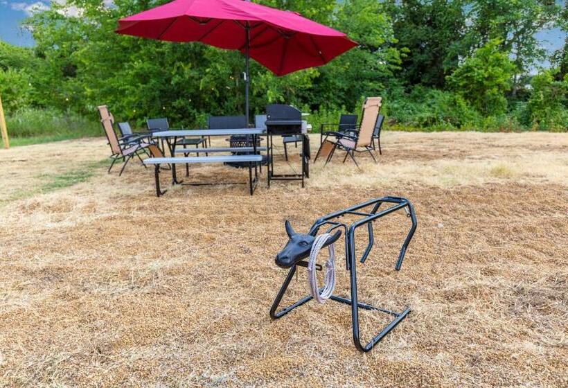 فندق صغير Old Texas Bunkhouse