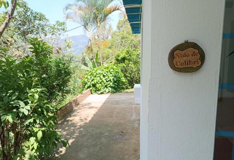 Pensjonat Duck House Hostel / La Vega