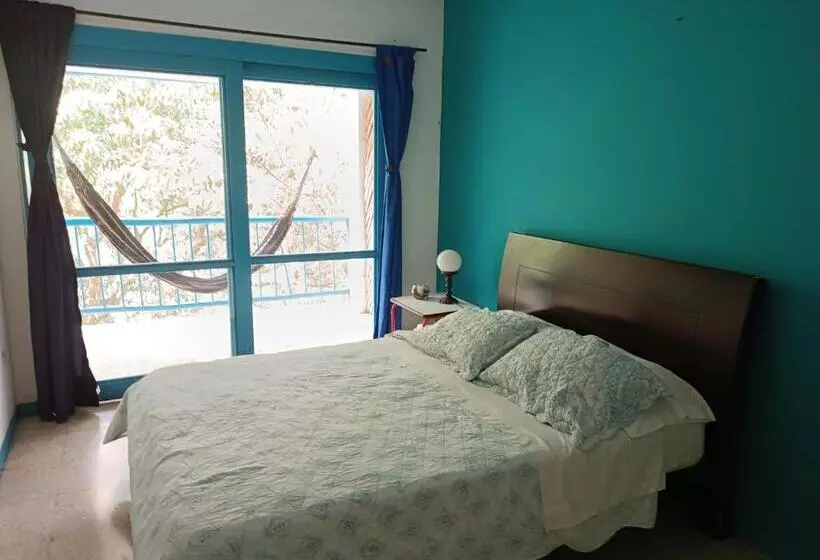 ペンション Duck House Hostel / La Vega