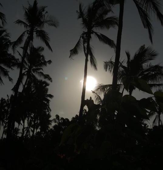 בית מלון כפרי Afriican Village Zanzibar