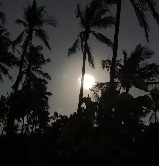 ホテル Afriican Village Zanzibar
