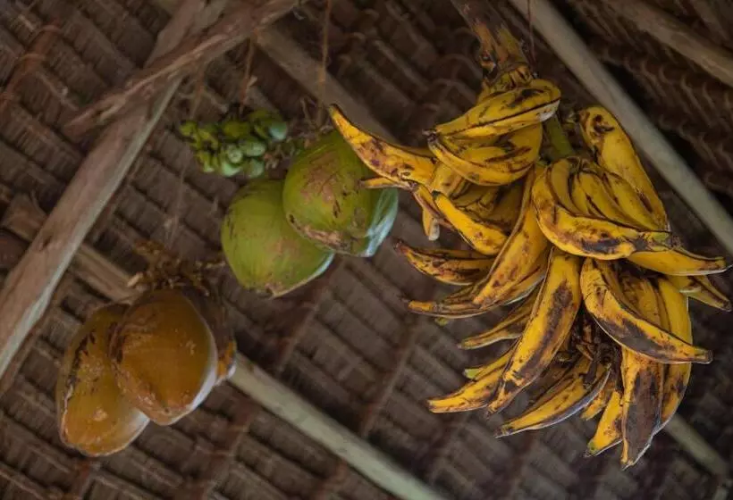 ホテル Afriican Village Zanzibar