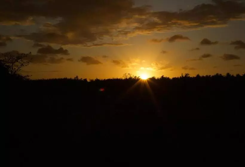 ホテル Afriican Village Zanzibar
