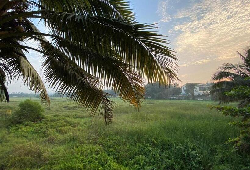 Hotel Greenfield View