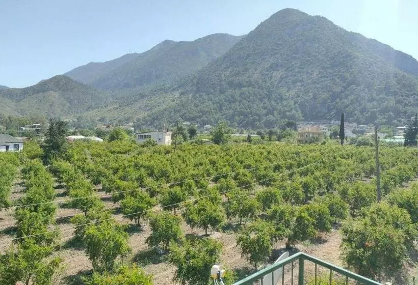 Adrasan ütopya Kamp Bungalow