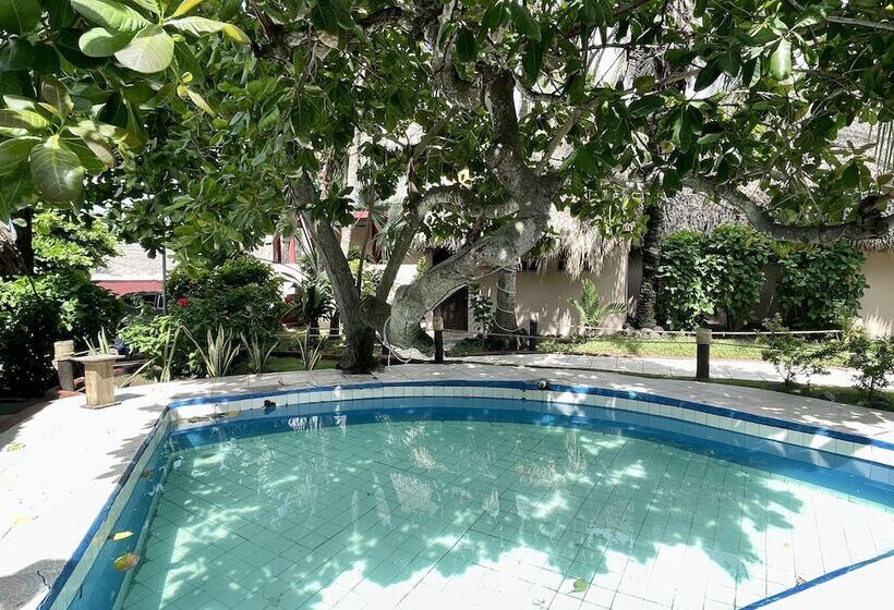 هتل Johnnys Place