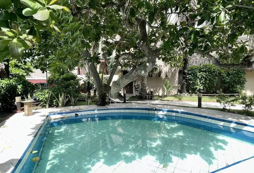 هتل Johnnys Place