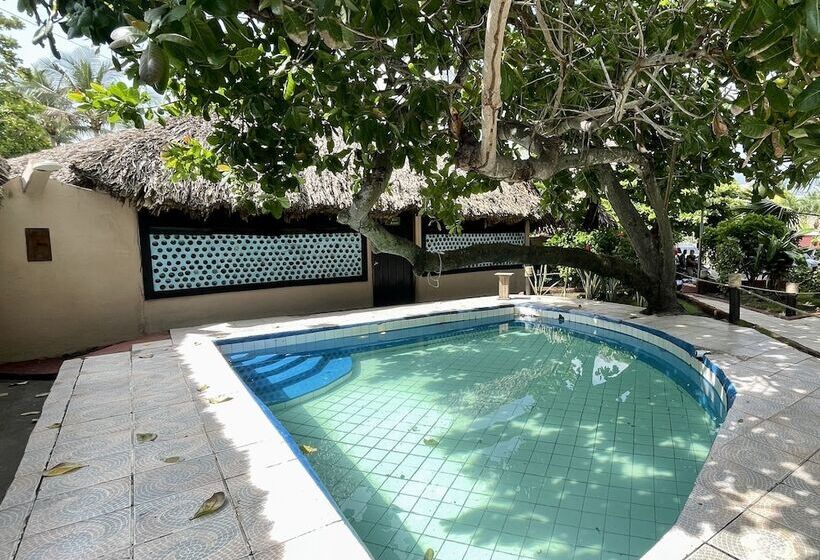 هتل Johnnys Place