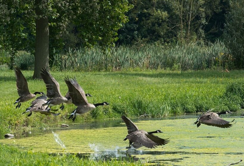 B&b Park7 Wavre Leuven