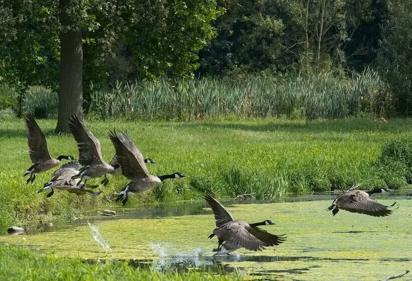 B&b Park7 Wavre   Leuven