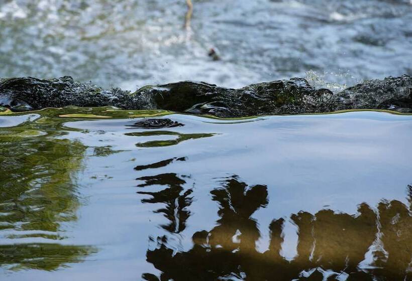 B&b Park7 Wavre Leuven