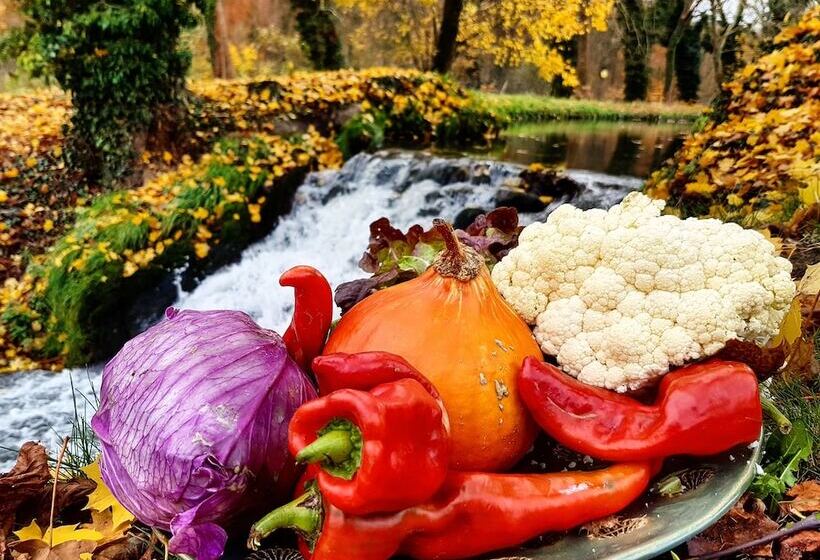 B&b Park7 Wavre Leuven