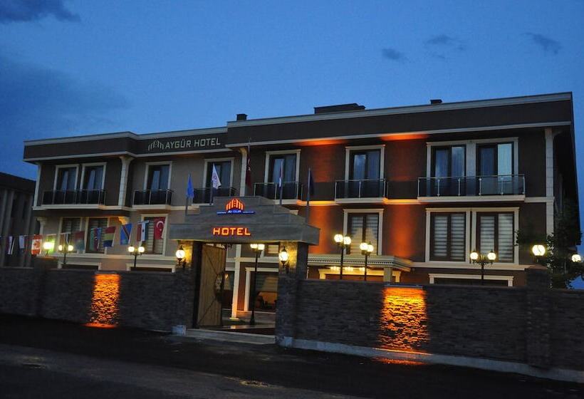 ホテル Aygur