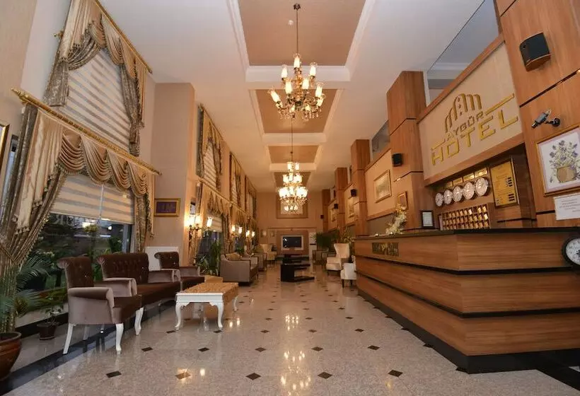 فندق Aygur