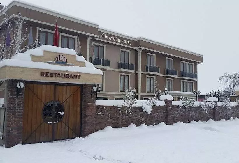 فندق Aygur