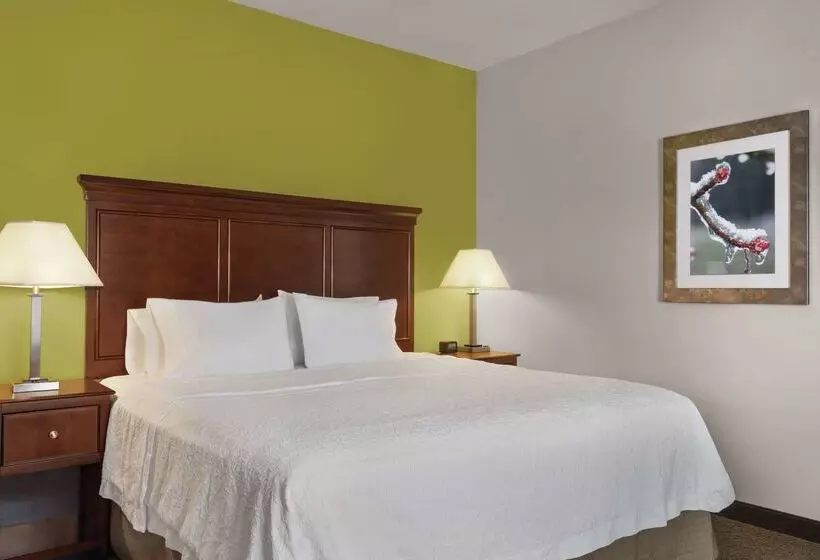 ホテル Hampton Inn & Suites Mishawaka/south Bend At Heritage Square