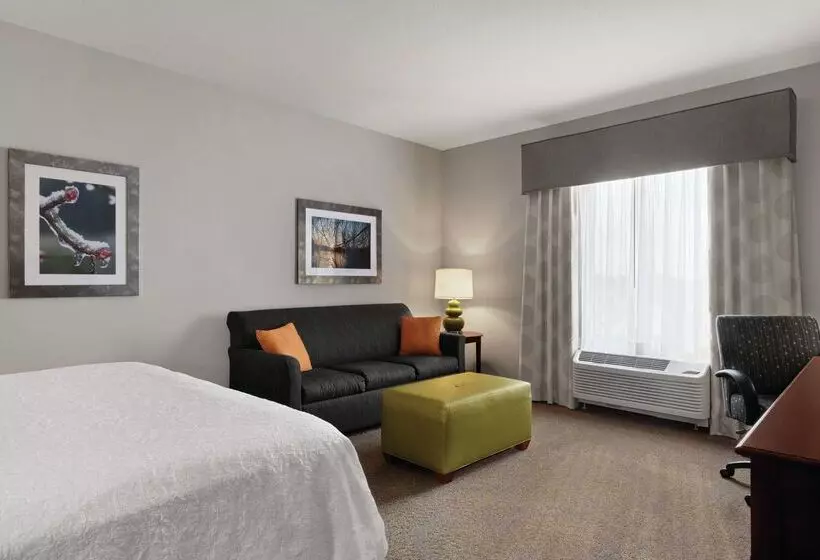 ホテル Hampton Inn & Suites Mishawaka/south Bend At Heritage Square