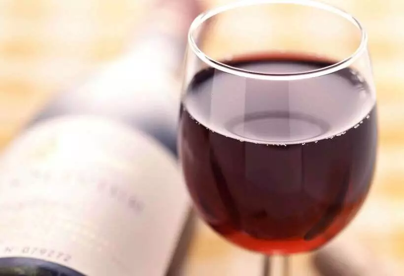 هتل Ibis Rio De Janeiro Santos Dumont