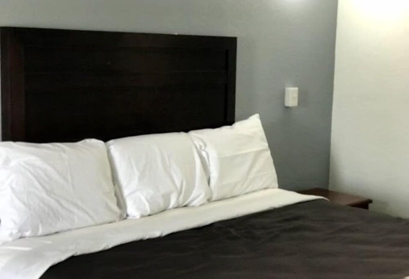 בית מלון כפרי Regency Inn