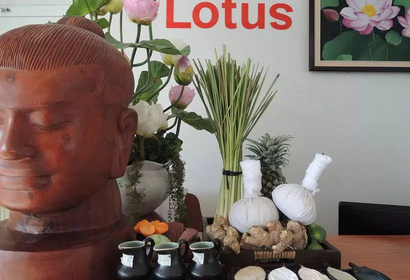 בית מלון כפרי Sen Han