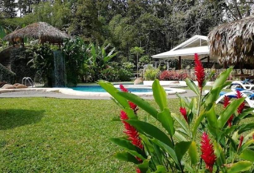 Отель Villas Del Caribe