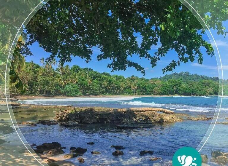 Отель Villas Del Caribe