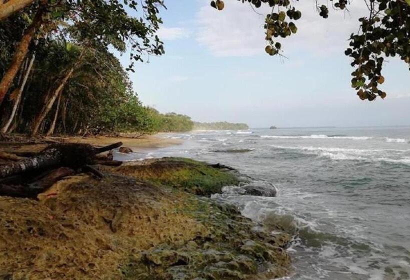 Отель Villas Del Caribe