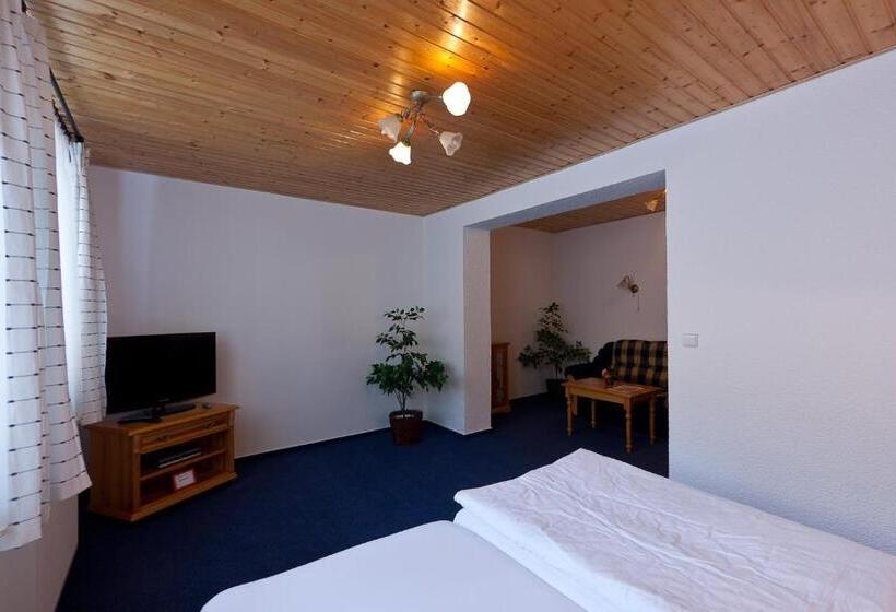 Пансион Penzion Linhart