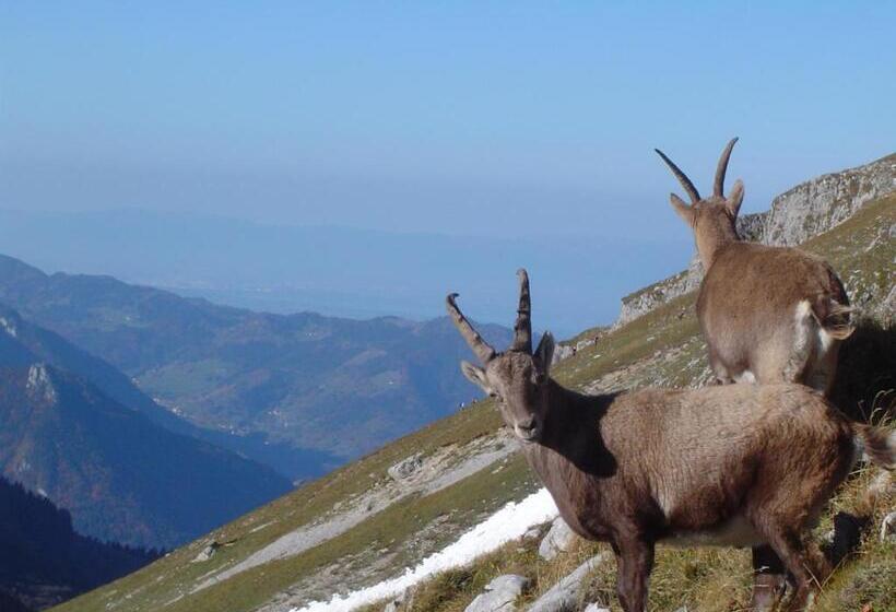 ホテル Terrabeka Lodge