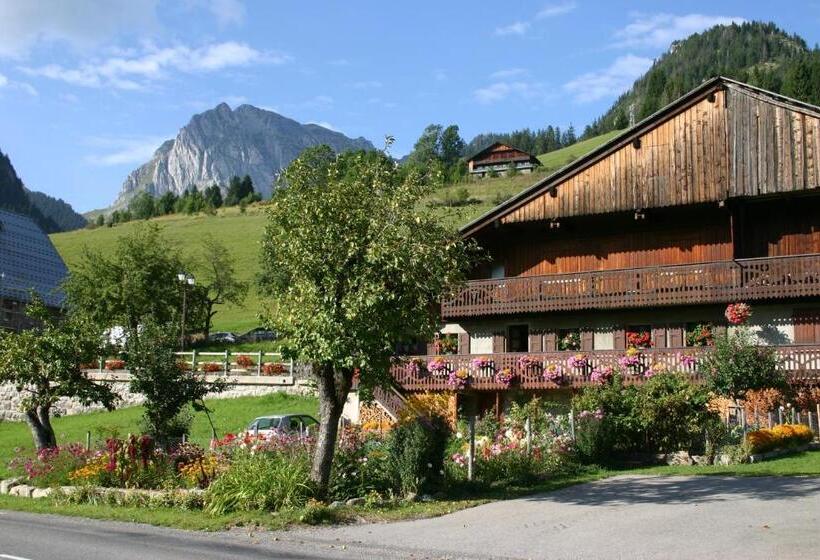 ホテル Terrabeka Lodge