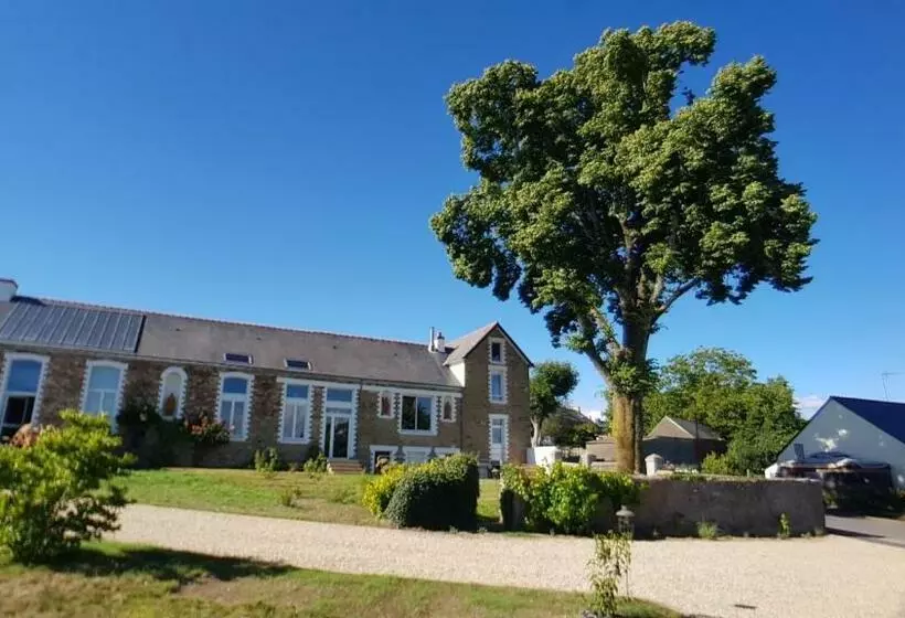 Belle Visnonia B&b Gluten Free & Traditional