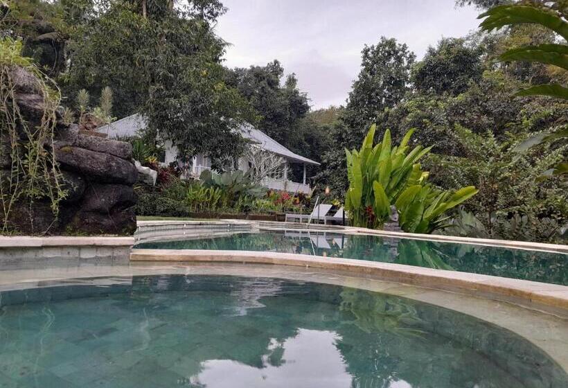 酒店 Balian Bliss Retreat Bungalow & Villas