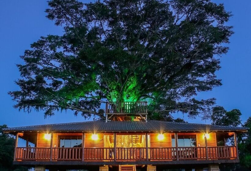 פנסיון Pousada Equilíbrio Dos Canyons