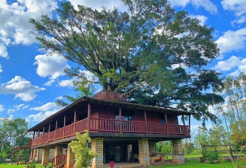 פנסיון Pousada Equilíbrio Dos Canyons